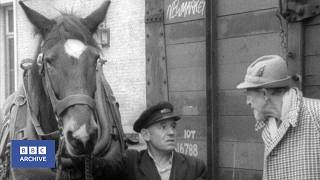 1962: The Last Railway Horses | Tonight | World of Work | BBC Archive