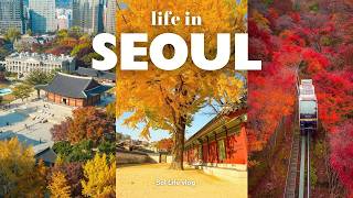 Autumn in Seoul, Korea VLOG | best autumn foliage spots, Hwadan Forest, cafes with view, home baking