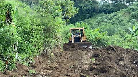 This Is How a Bulldozer Operator Working Quickly to Widen the Forest Road Gets It Done