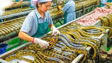 30 minuten durende, bevredigende video over werkende en opwindende fabrieksmachines, ingenieus ge...