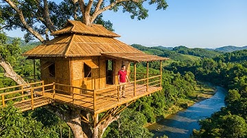 I Built a 16ft Treehouse Fortress: My Mistake Attacked Me!