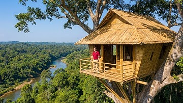 I Built a 16ft Treehouse Fortress: My Mistake Attacked Me!