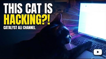 This Cat Knows How to Use a Computer