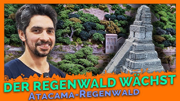 DER LETZTE SCHLIFF: Massive Aufforstung im Mini-Regenwald | Atacama-Update #18 | Miniatur Wunderland