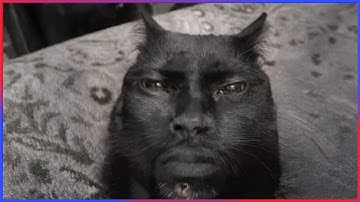 Best Funny Videos Of 2025 😂😁 | Try Not To Laugh CHALLENGE (Impossible)