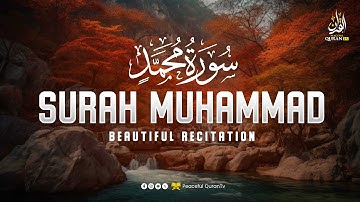 Surah Muhammad سورة محمد | Ultimate Peaceful Heart Touching Quranic Voice | Peaceful Quran TV