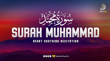 Surah Muhammad سورة محمد | Ultimate Peaceful Heart Touching Quranic Voice | Peaceful Quran TV