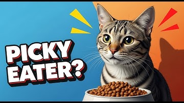 Stop Picky Eating in Cats in 7 Days — The Only Method You Need!