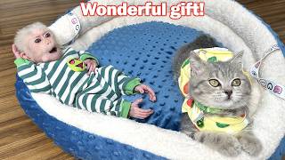 Lala and Siba cat unexpectedly received many special gifts from Mom!