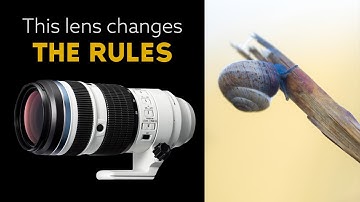 Why the M. Zuiko 50-200 f2.8 is a GAME CHANGER for Macro Photography