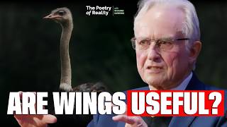 Why Some Animals Gave Up Their Wings