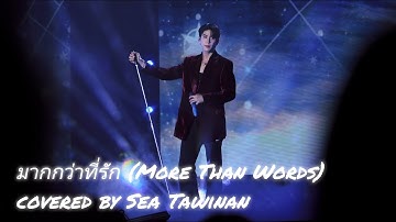 My Magic Prophecy After Party🇹🇭 | มากกว่าที่รัก covered by Sea Tawinan (4K) #mymagicprophecy