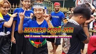 MAHESO SURO JATI JUNIOR ft SENIOR KALAPAN BERSAMA DI JL MAWAR TAWANGMANGU LOWOKWARU.