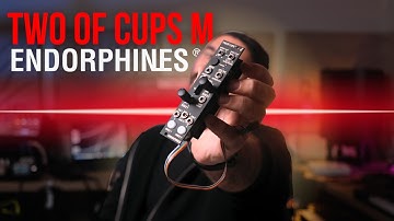 NEW Endorhines Module!! // Two of Cups M!