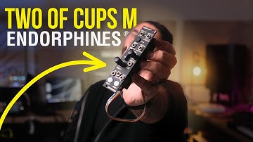 Two of Cups M by ENDORHINES! Dual Sampler for your Eurorack Setup!
