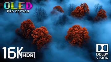Unbelievable 16K HDR at 240 fps | Dolby Vision (8K/4K TV)