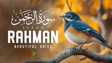Surah Ar-Rahman سورة الرحمن | Soothing Lofi Quran for Deep Healing & Heart Peace #surahrahman