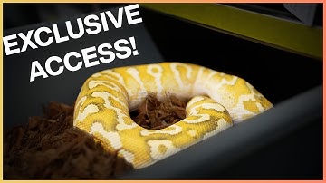 Exclusive Animals at the KINOVA Facility!