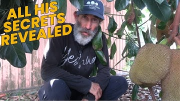 He Turned a Backyard Into a Fruit Forest — And Shares Every Secret