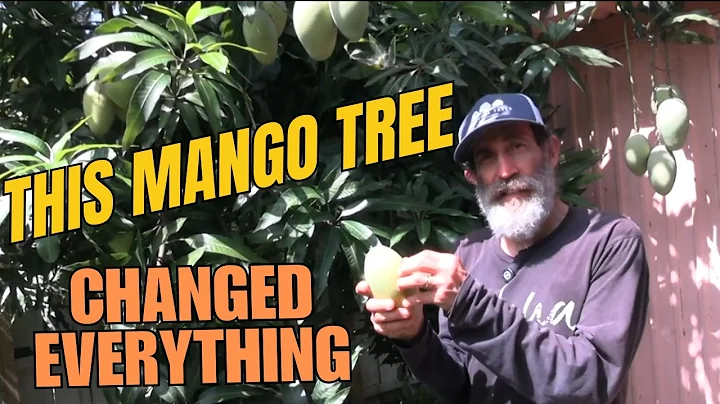 50+ Tips From a Man Growing Over 100 Fruit Trees in His Backyard