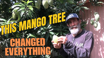 50+ Tips From a Man Growing Over 100 Fruit Trees in His Backyard