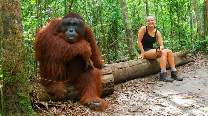 You Will Die Laughing At These Hilarious Animals 🤣 New Funny Animals Videos 2026