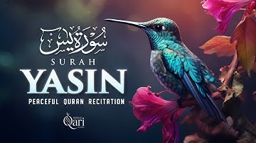 Surah Yaseen (Yasin) سورة يس | Ultimate Majestic Quran for Deep Sleep & Tranquil Nights #surahyaseen