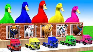 5 Giant Duck Cartoon,Cow,Lion,T-Rex,Husky,Bear,Monkey Paint Wild Animals Crossing Fountain Animation