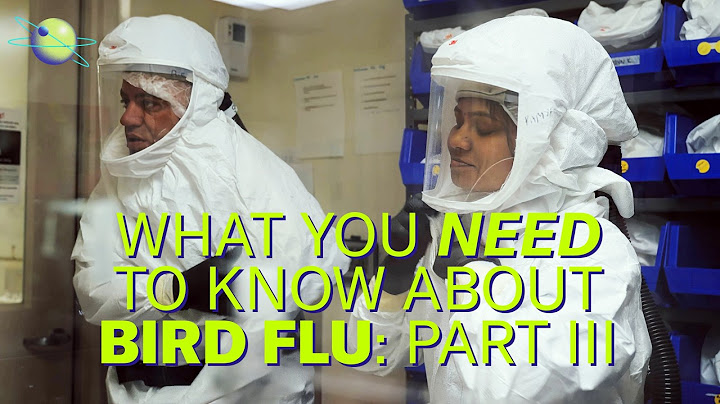 How to Fight Bird Flu If It Becomes the Next Human Pandemic (Part 3)
