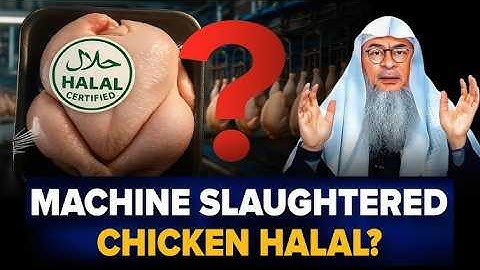 HALAL or HARAM? Machine Slaughtered Chickens EXPOSED! | Sheikh Assim Al Hakeem #HalalChickenDebate