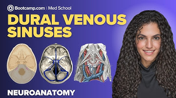 Dural Venous Sinuses | Superior Sagittal, Transverse, Sigmoid & Cavernous