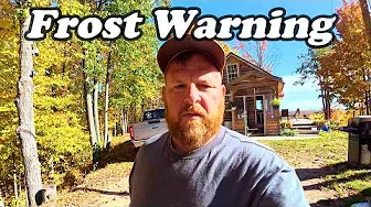 It All Pays Off!  Big Payday ----- Harvest Time Off Grid  Before the First Freeze