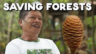 How One Person Saved a Forest in the Philippines (Negros Oriental)