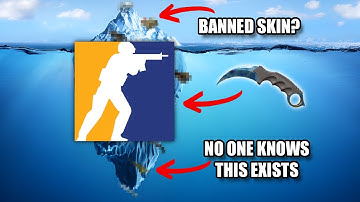 The RAREST Skins In Counter Strike History Iceberg Explained