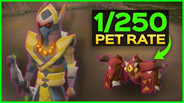 The Easiest Pets To Get in OSRS
