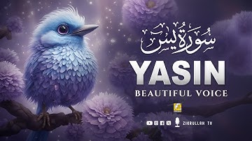 Surah Yaseen (Yasin) سورة يس | Ultimate Relaxing Quran Will Touch Your Heart إن شاء الله #surahyasin