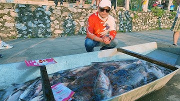 Chia Sẻ Mẹo Câu Cá Mè Mùa Lạnh Và Pha Kéo Cực Căng Với Trắm Đen