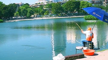 Một Ngày Câu Đài Cá Mè – Bất Ngờ Kéo Lên Con Trắm Đen Khủng