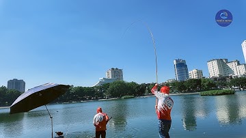 Câu Cá Mè Mùa Đông Bằng Cần Đài – Bắt Được Cả Trắm Đen To!