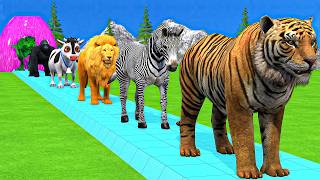 Paint & Animals Cow,Gorilla,Elephant,Lion,Tiger,Dinosaur, Fountain Crossing Transformation Cartoon