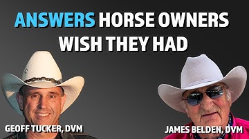 What Can Two Vets Share To Help Horse Owners Today