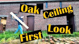 Temporary OAK CEILING SETUP: See how it looks! / Renovating a 110  y.o. ABANDONED farm in Belgium