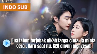 Menikah 2 tahun, dia muak dengan pernikahan tanpa cinta. Namun setelah cerai,CEO dingin itu menyesal