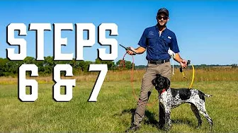 The Secret to Steady Points – Steps 6 & 7 for “Whoa” Training!