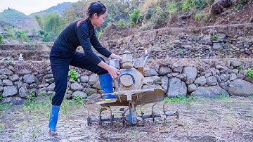 Cuộc Sống Vùng Cao | Cô Gái Thu Hoạch Tỏi, Cày Ruộng Chuẩn Bị Trồng Lúa Nước