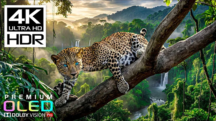 Most Breathtaking 4K HDR 60FPS🌿Dolby Vision (8K/4K Video TV)