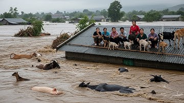 Những Khoảnh Khắc Mưa Lũ Được Camera Ghi Lại Thực Tế 4K