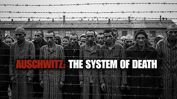 The ENTIRE History of AUSCHWITZ | WW2 Documentary | Nazi Germany | To Fall Asleep To