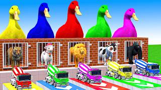 5 Giant Duck Cartoon, Cow, Mammoth, Elephant, Lion, Paint Wild Animals Crossing Fountain Animation