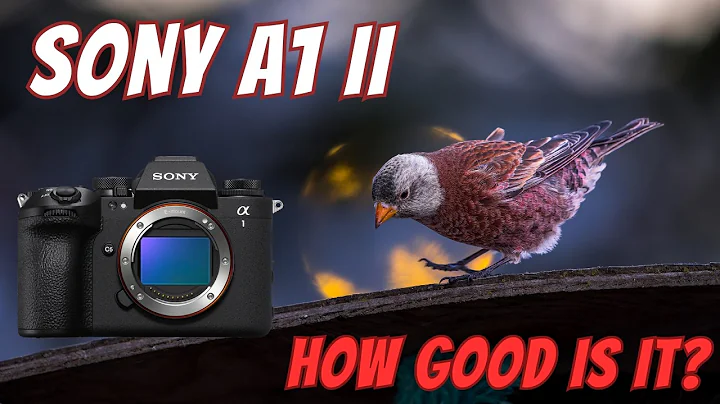 Sony A1 II || Just How Good is It?